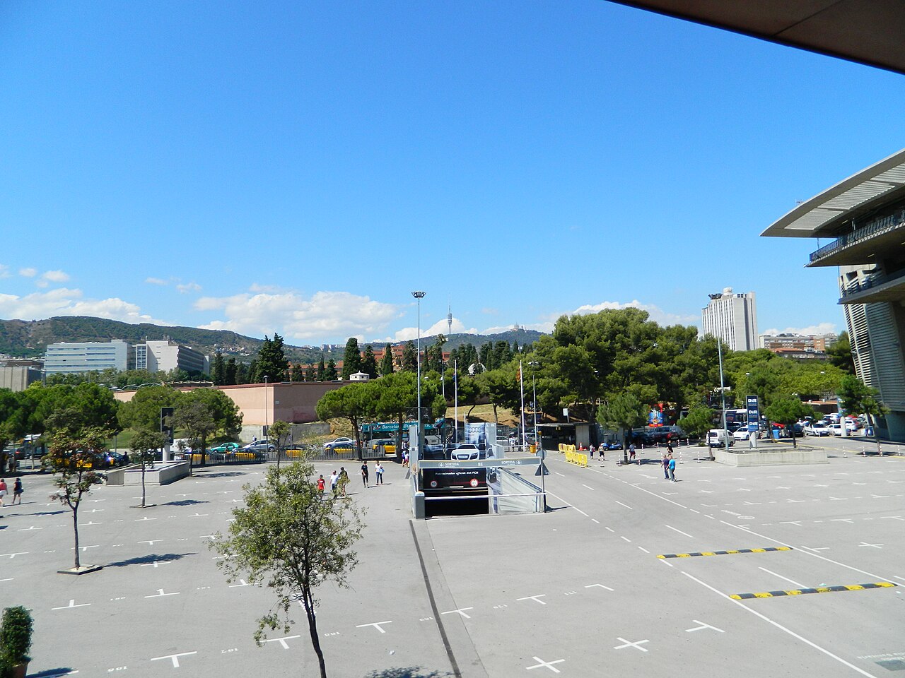 平台公告 平台公告·球场看台实景